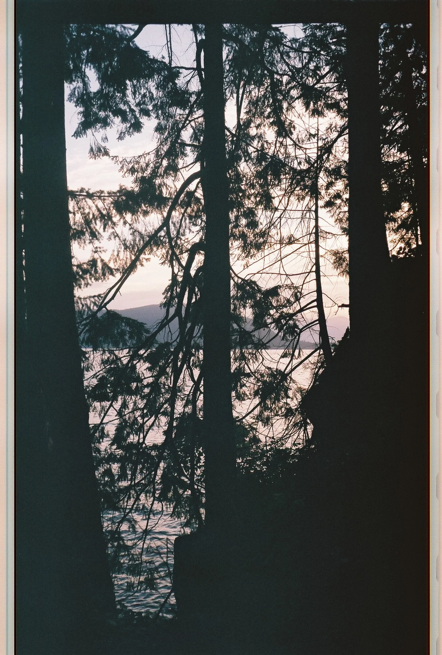 Copy of FilmJuly9.JPG