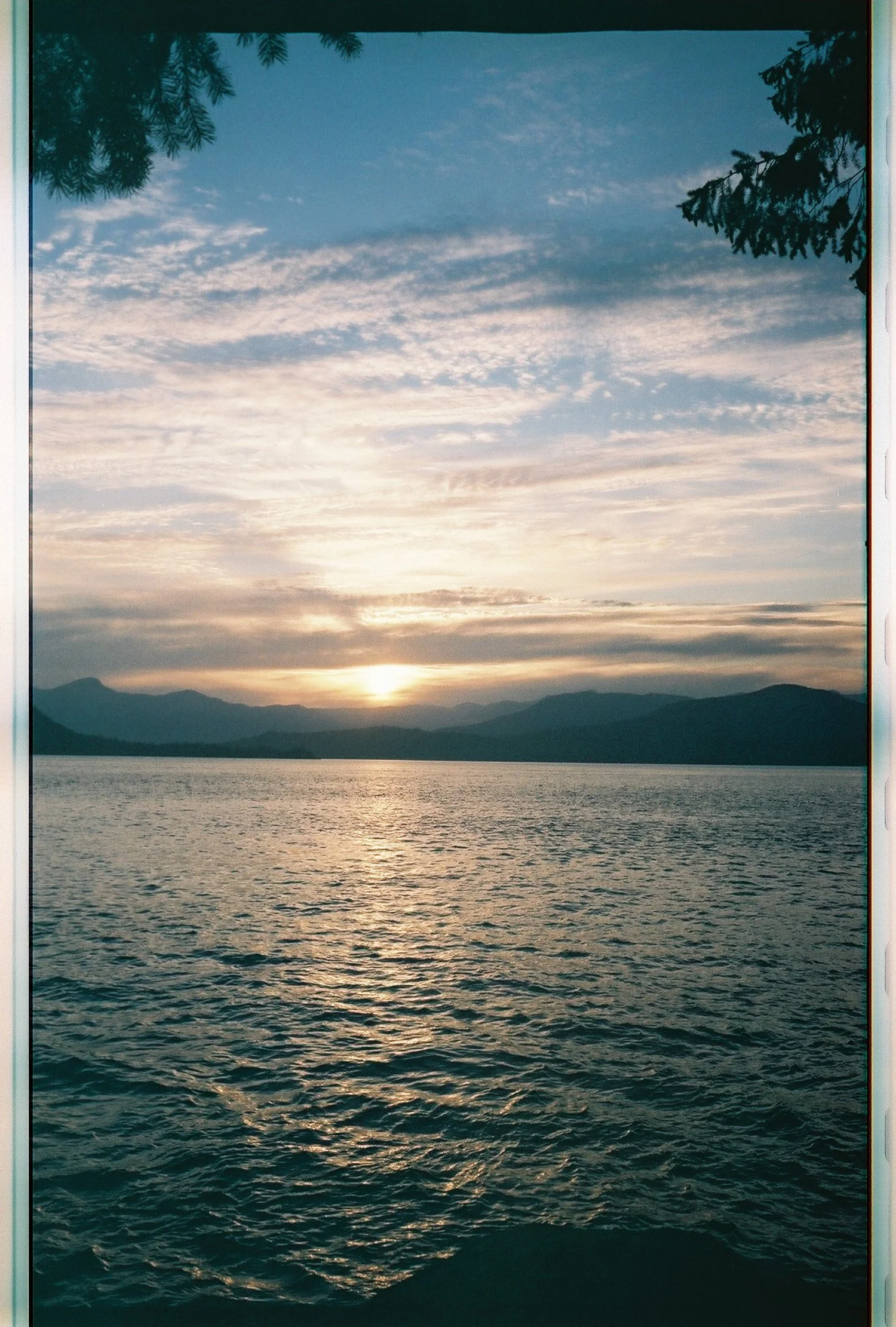 Copy of FilmJuly14.JPG