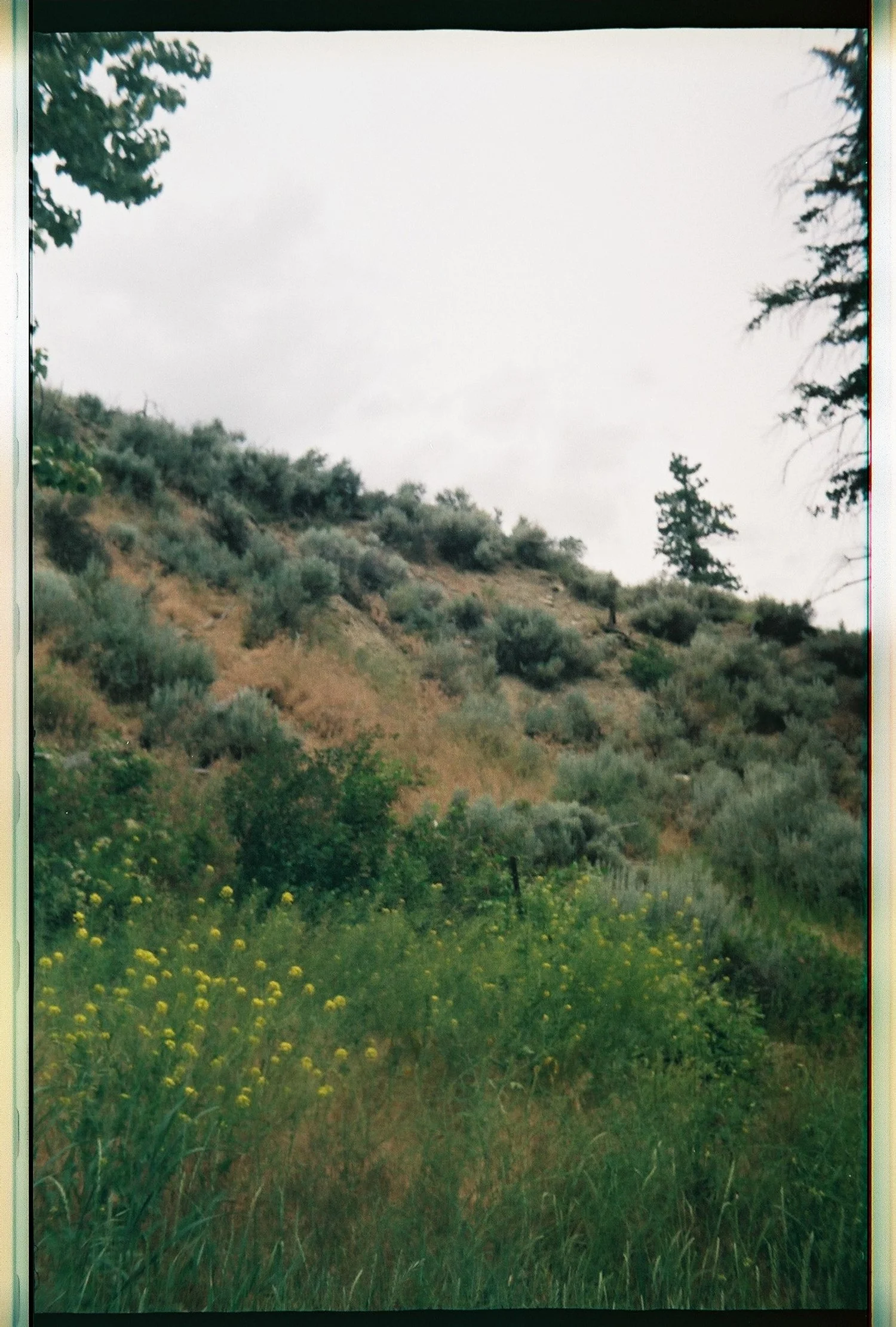 Copy of FilmJuly23.JPG