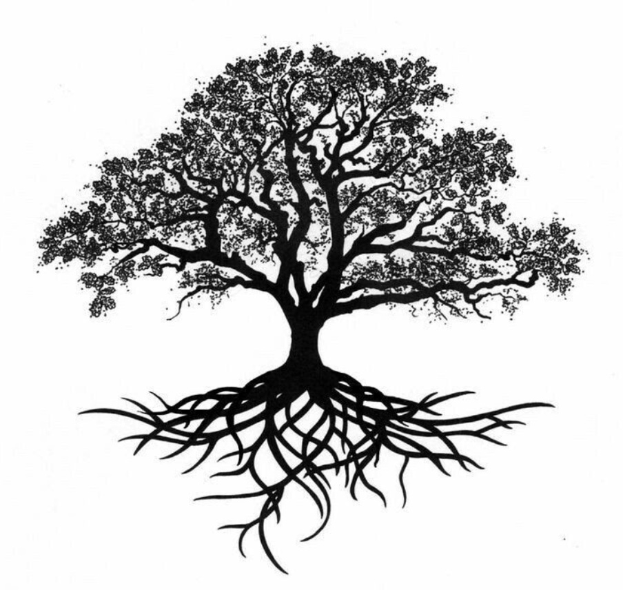 tree image.jpeg