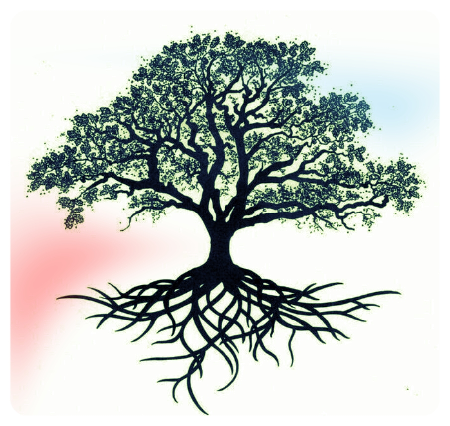 tree image.jpeg