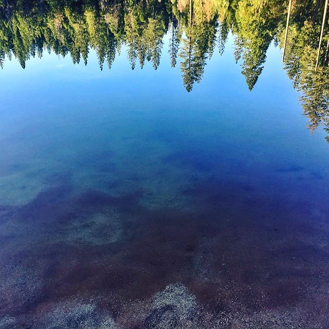 Missing this reflection. Something beautiful happens when we&rsquo;re away from concrete-dominance and tucked into God-made green things for a while. It&rsquo;s like our souls unfurl a bit, feeling at home because they hear creation&rsquo;s song more