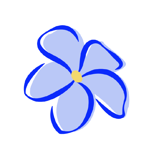 TextDivider-02.png