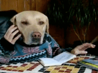 dog cropped.gif
