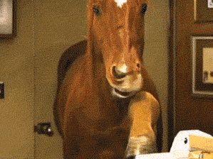 horse crop1.gif