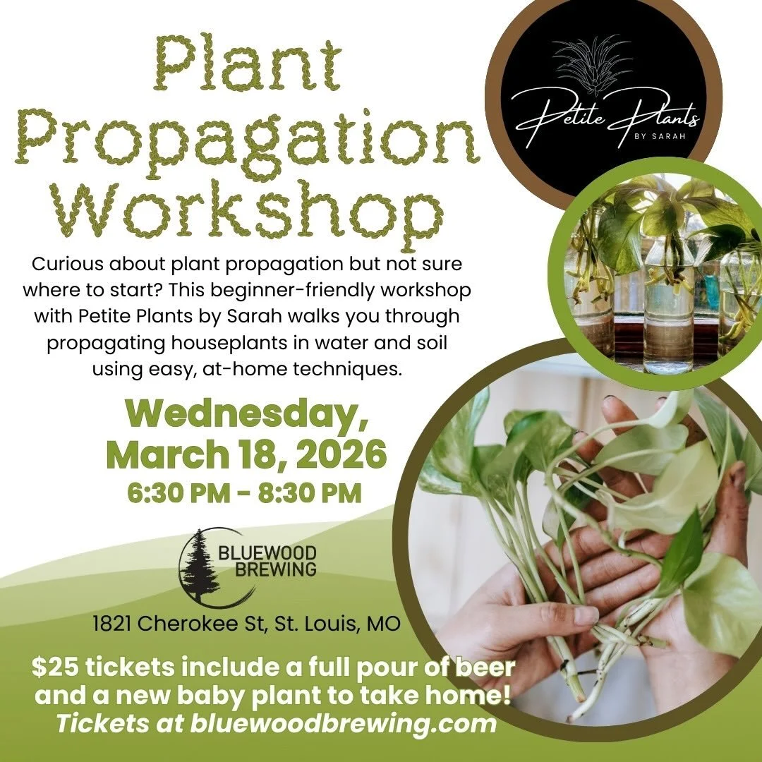 🪴 PLANT PROPAGATION CLASS 🪴

📆 Wednesday 3/18, 6:30-8:30

Curious about plant propagation but not sure where to start? This beginner-friendly workshop hosted by Sarah with @petiteplantsstl walks you through propagating houseplants in water and soi