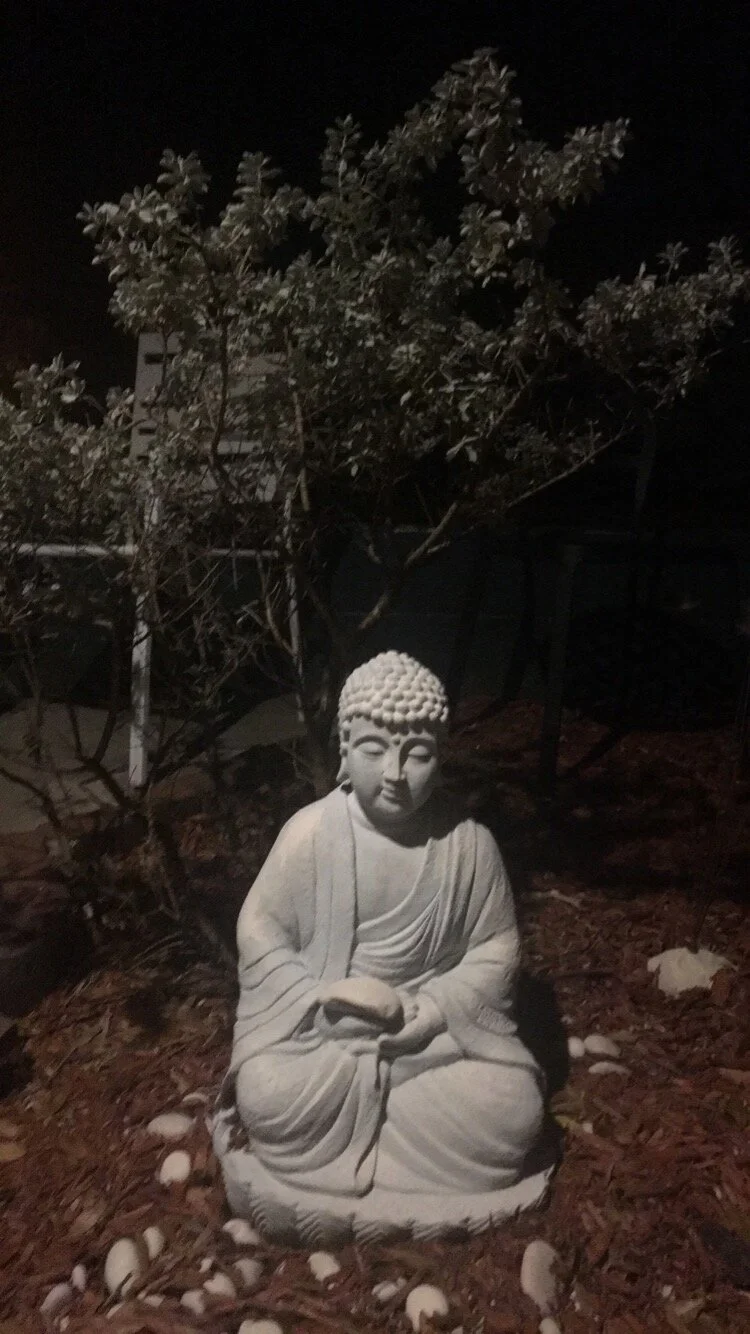 The saccharine sensation of this life.