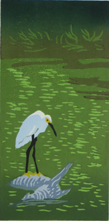 SNOWY EGRET