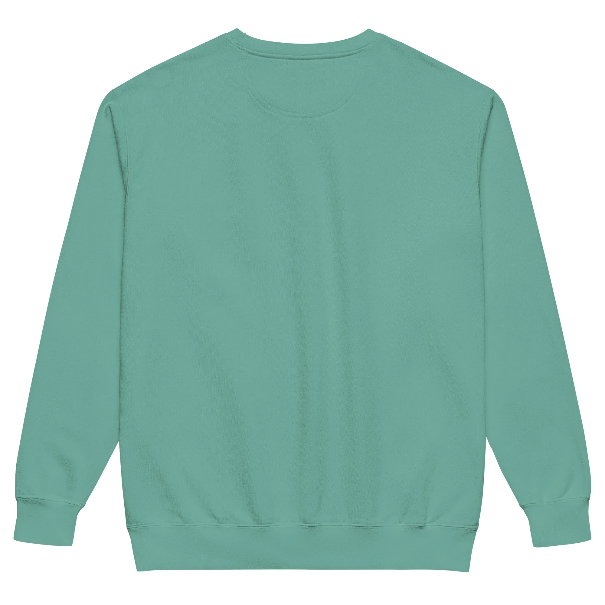 unisex-garment-dyed-sweatshirt-seafoam-back-68dac2f70dcf1.jpg