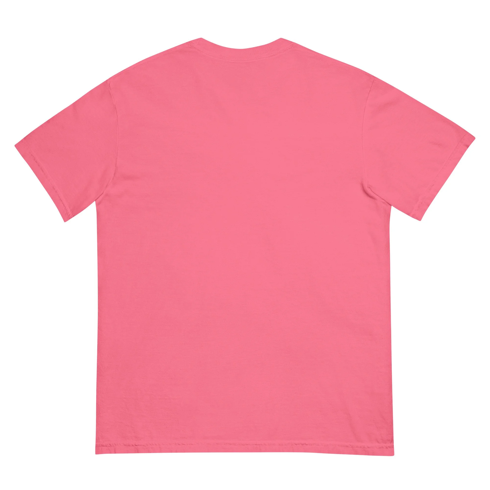 unisex-garment-dyed-heavyweight-t-shirt-crunchberry-back-68dac5239423c.jpg