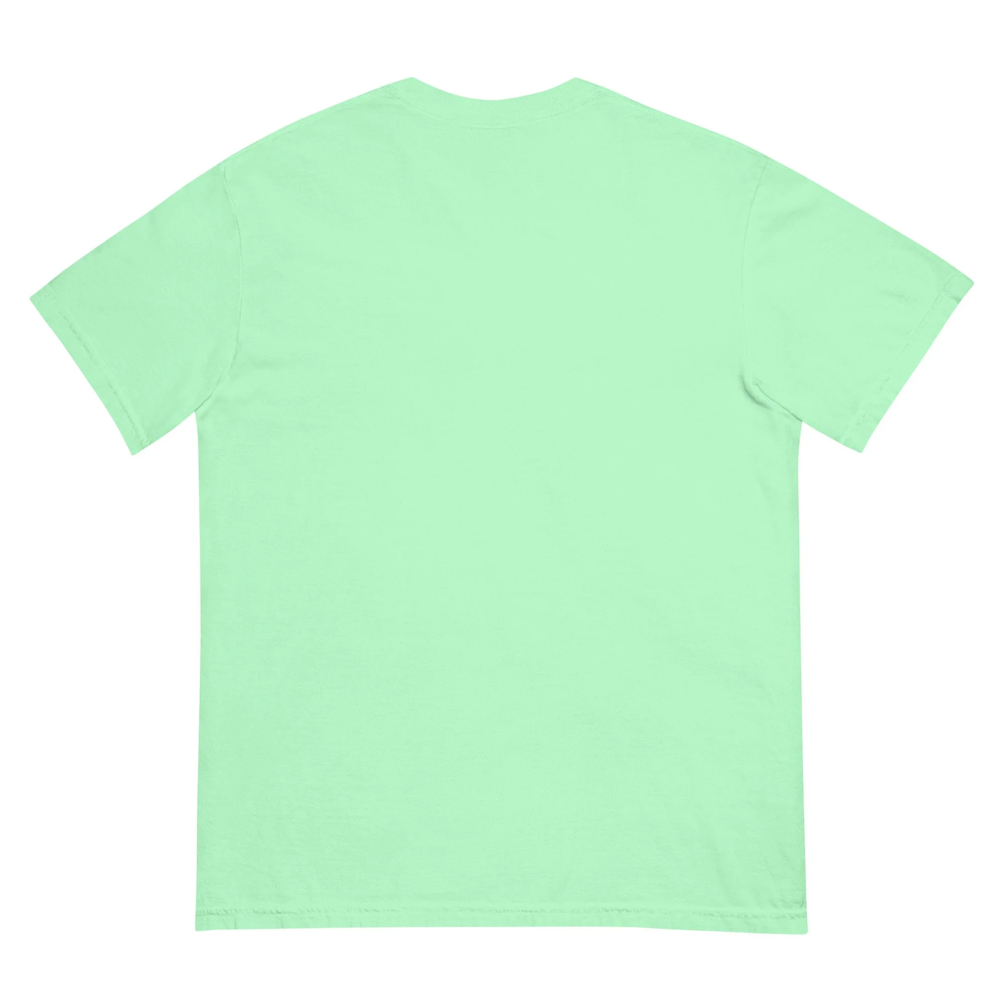 unisex-garment-dyed-heavyweight-t-shirt-island-reef-back-68dac523e6aef.jpg