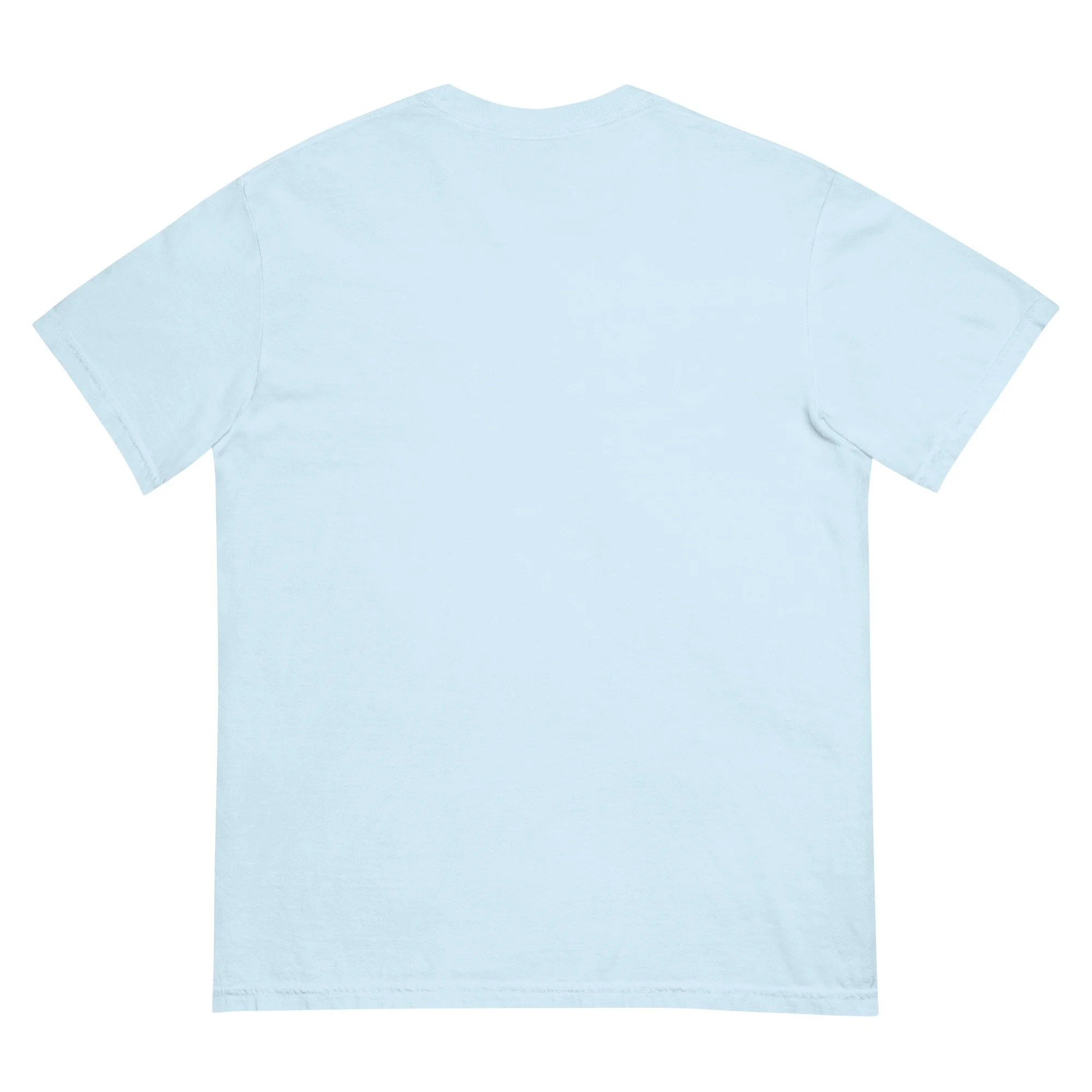 unisex-garment-dyed-heavyweight-t-shirt-chambray-back-68dac524015e1.jpg