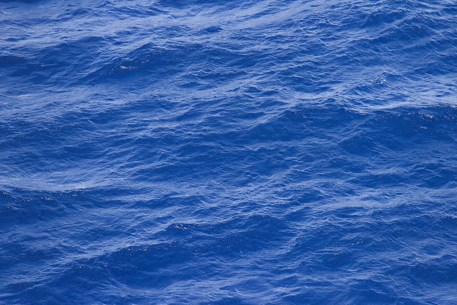 blue ocean background .jpg