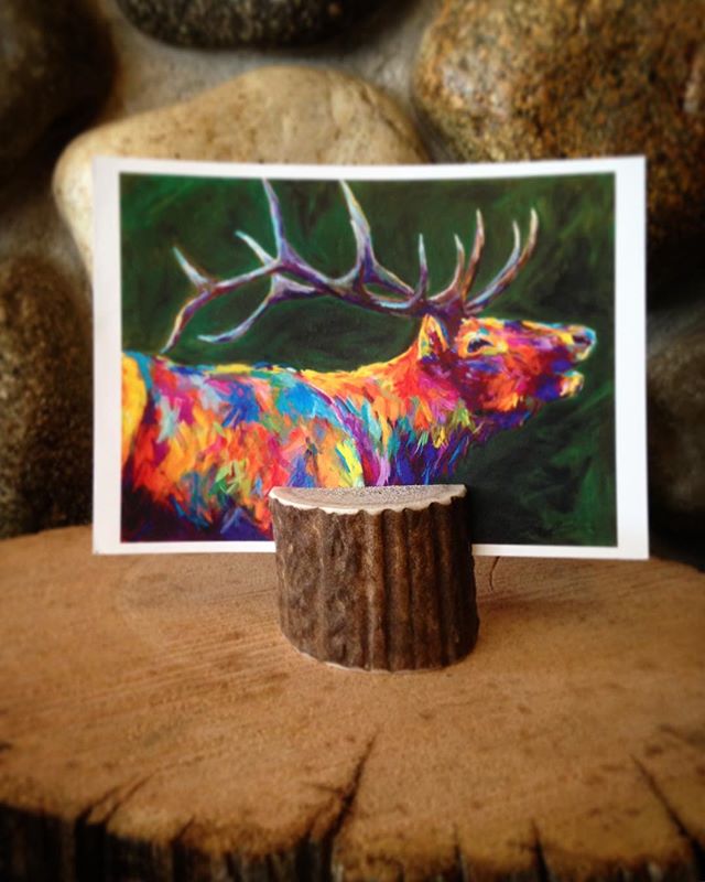 Congratulations to our survey winners! Check your email to see if you won an Elk Antler Photo Holder! Thanks for giving your valuable feedback!
#mountainwestantlerco #elkantlers #photostand #photoholder