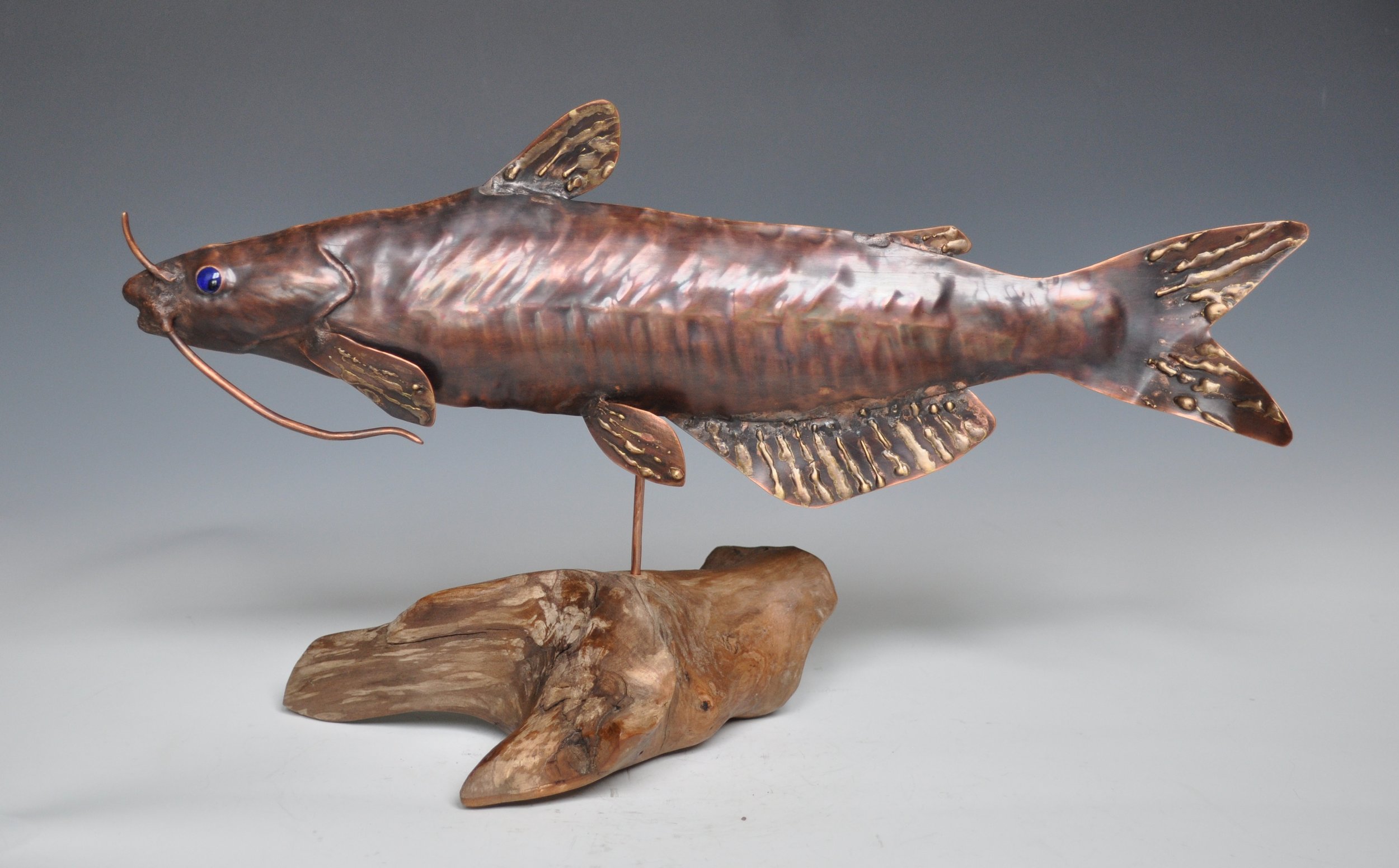 Channel Catfish in Driftwood Base