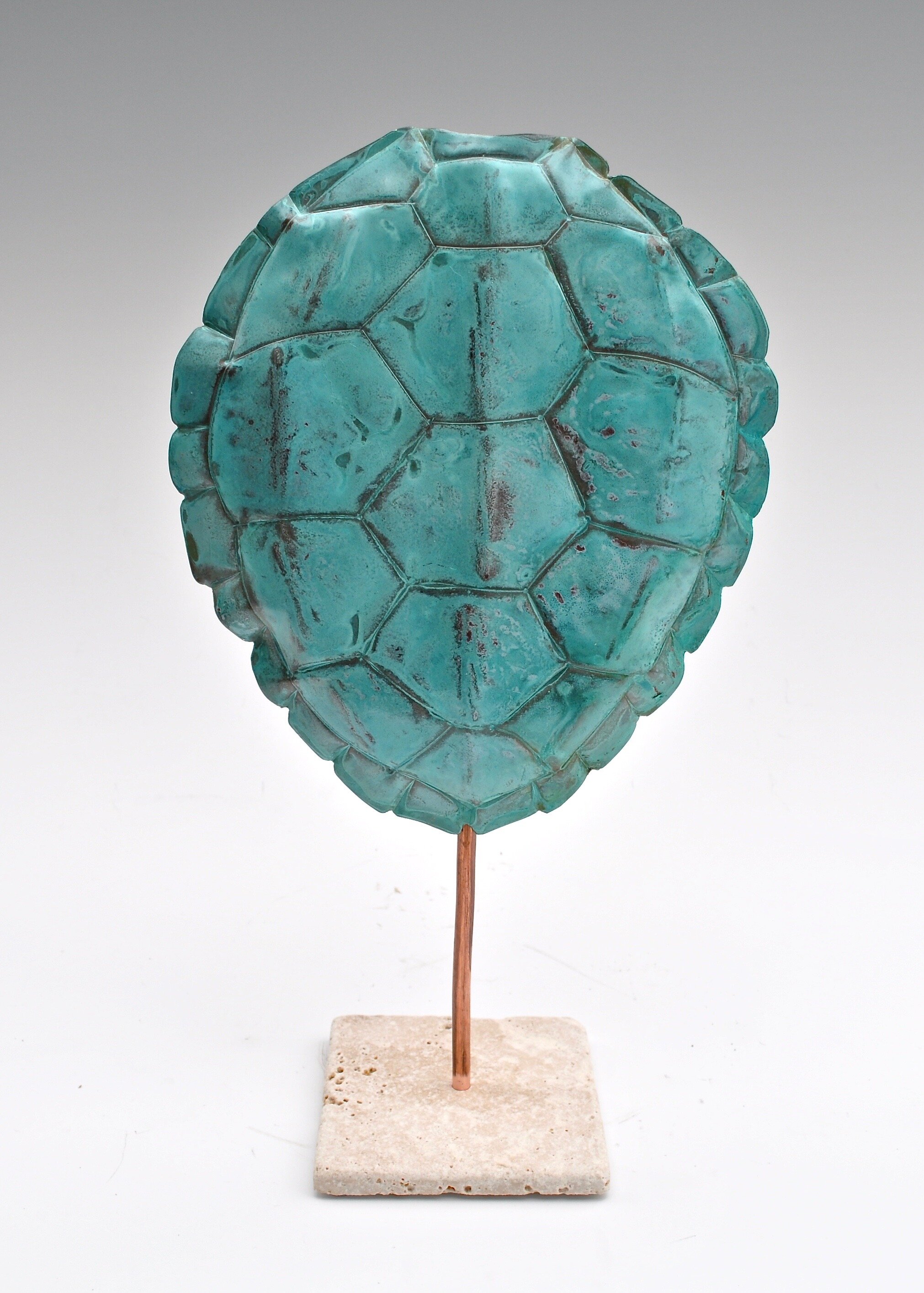 Loggerhead Sea Turtle Shell, 1483