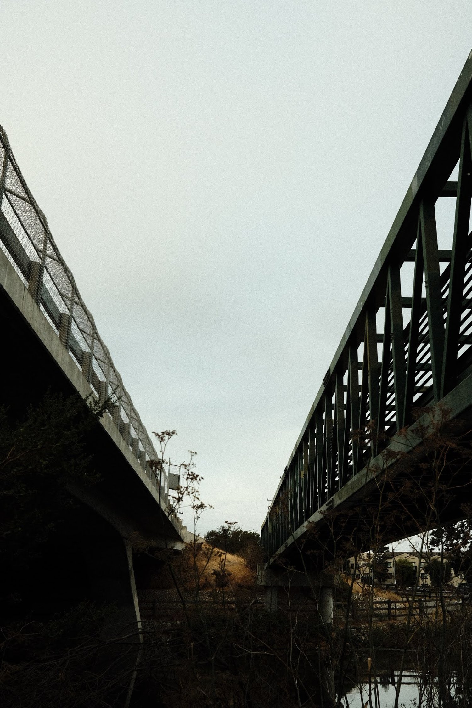 15183B66-A17D-4470-828F-283A720ECE63-534-0000009DB11F357A.jpg