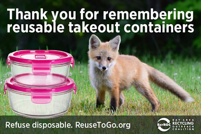 Are To-Go Food Containers Recyclable?