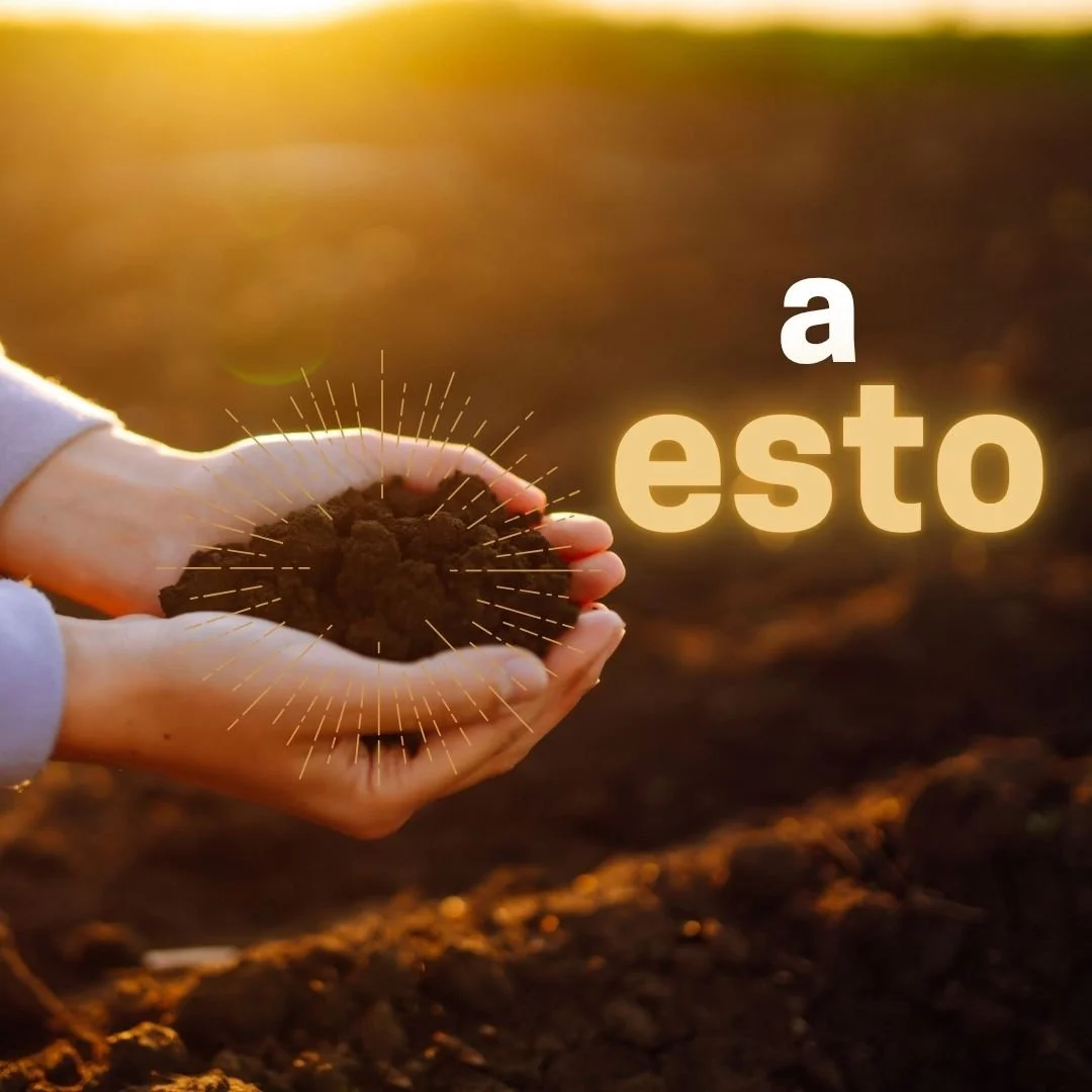 2-esp.jpg