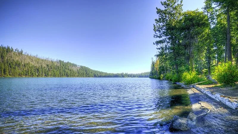 Suttle+Lake.jpg
