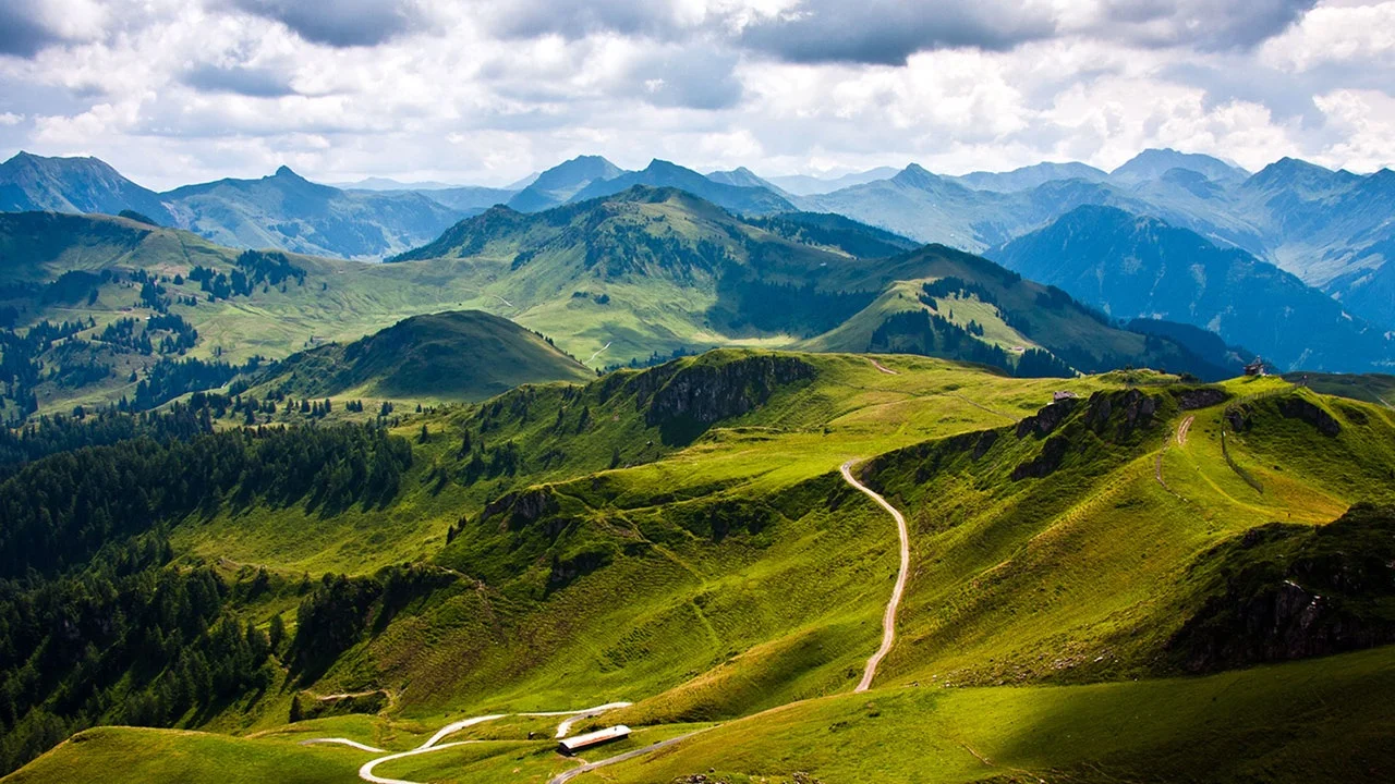 Path+%281%29.jpg