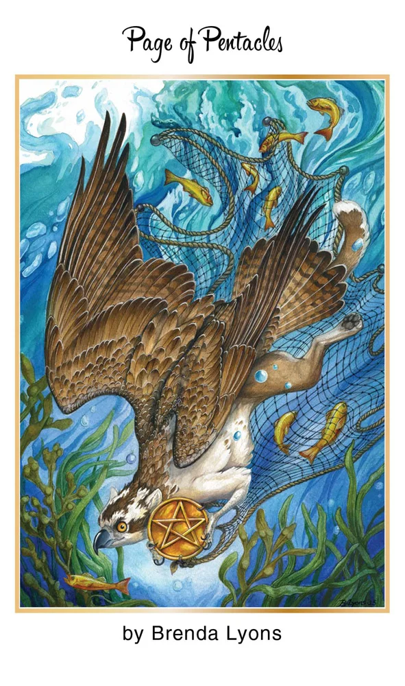 37-PageofPentacles-BrendaLyons.jpg