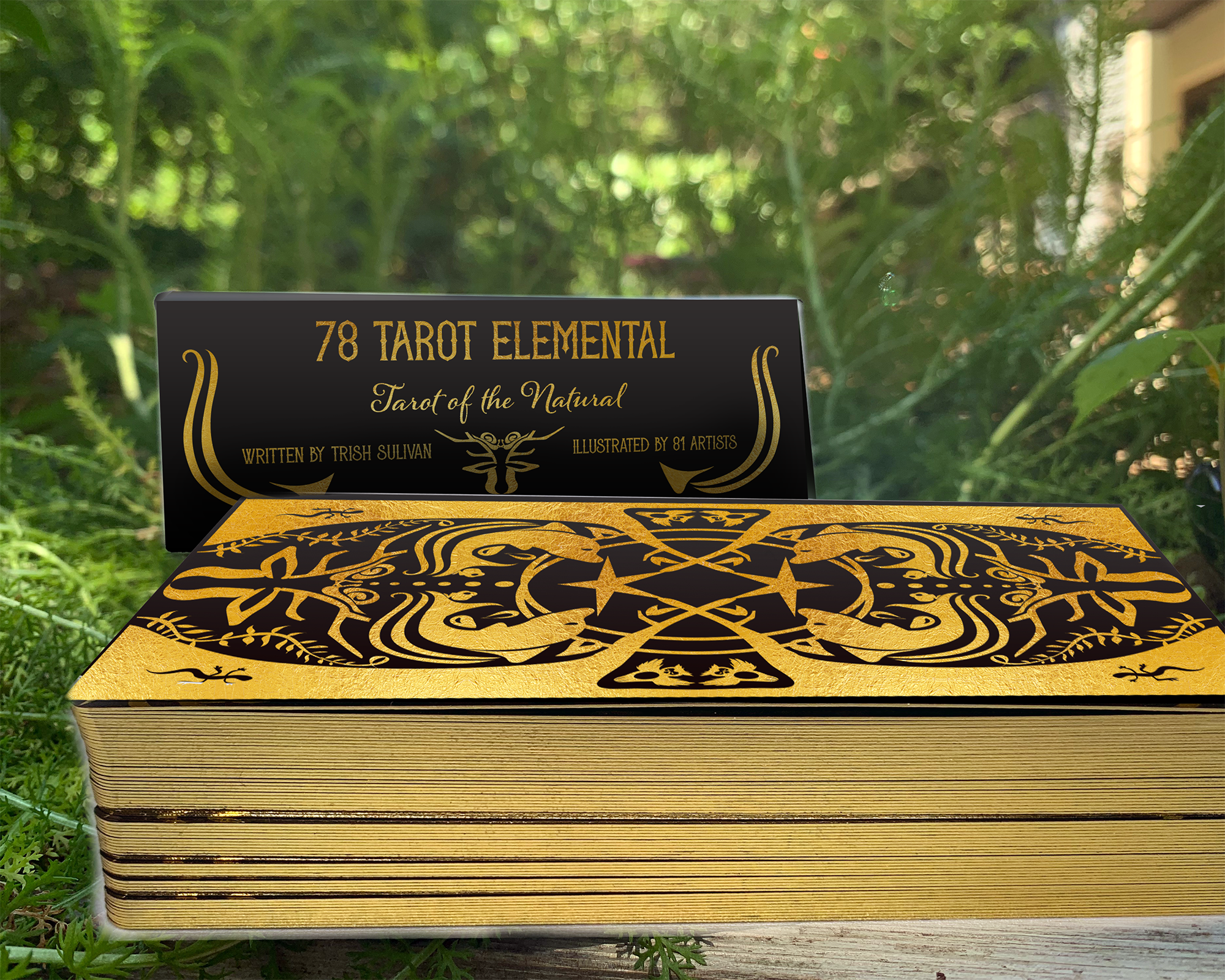 ElementalEtsypic3.png