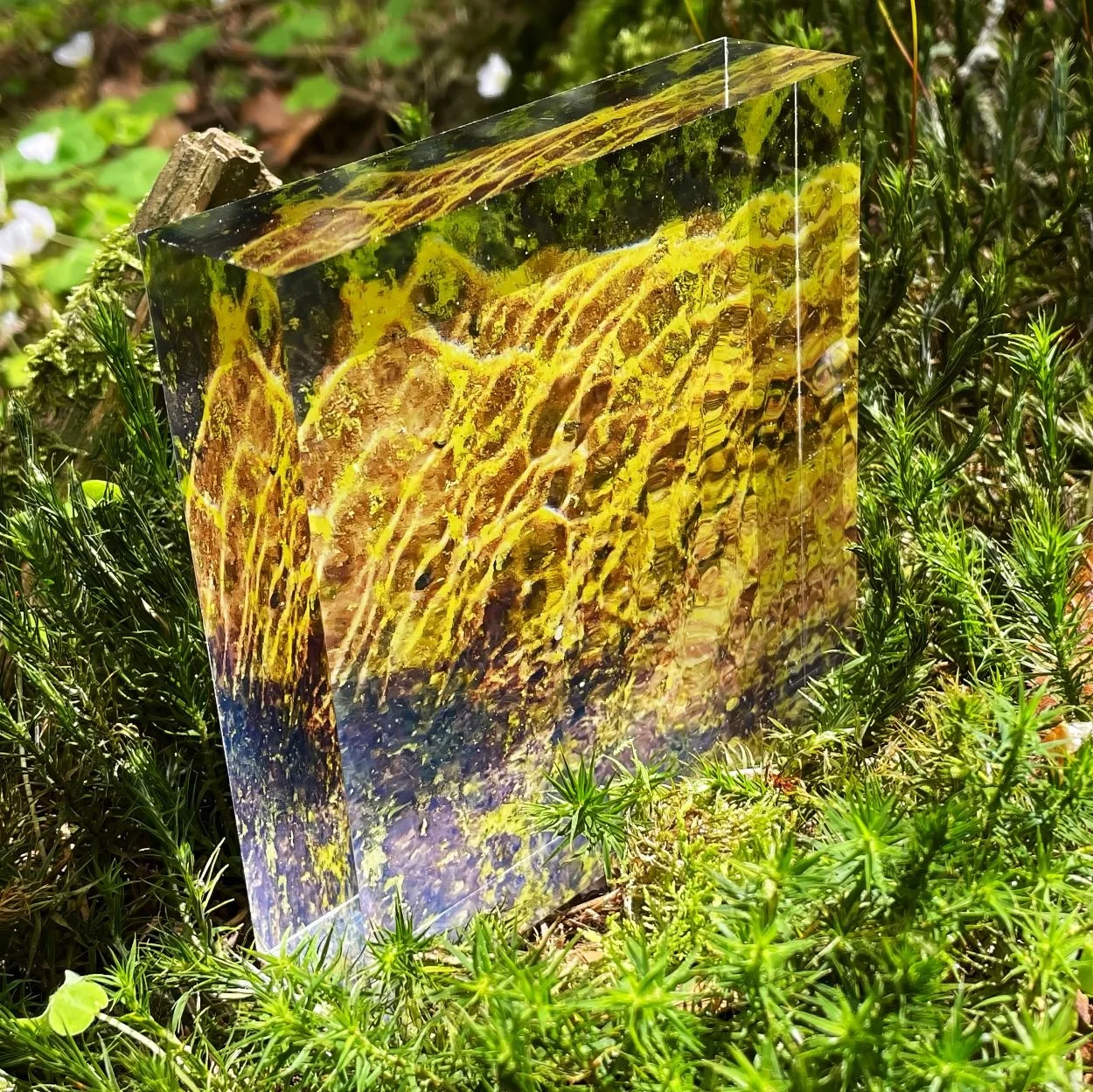 Golden Fleece Hintergrund k.jpg