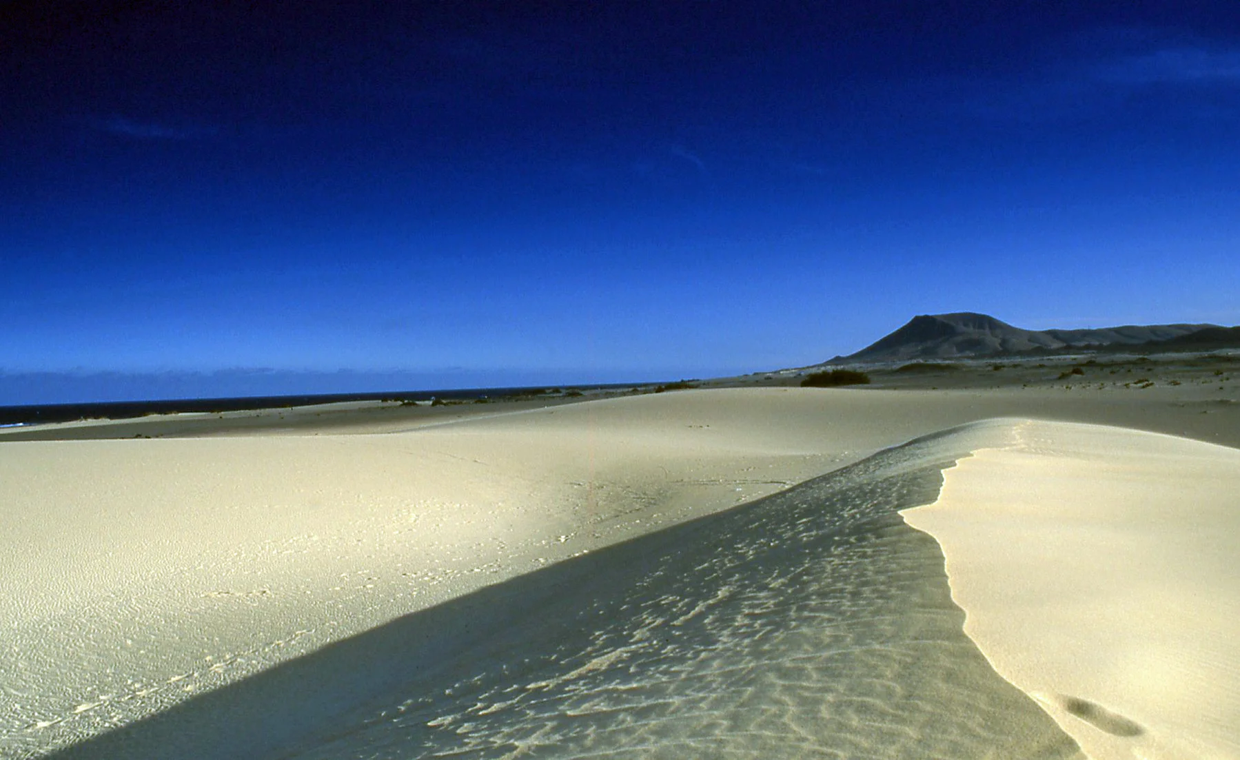 Yellow Dune