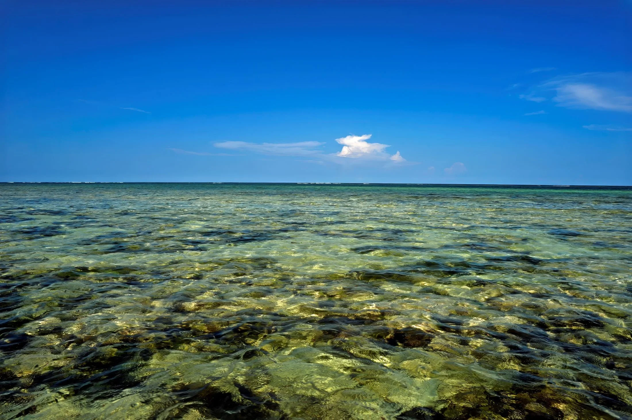 Kenia Chale Island - Sea