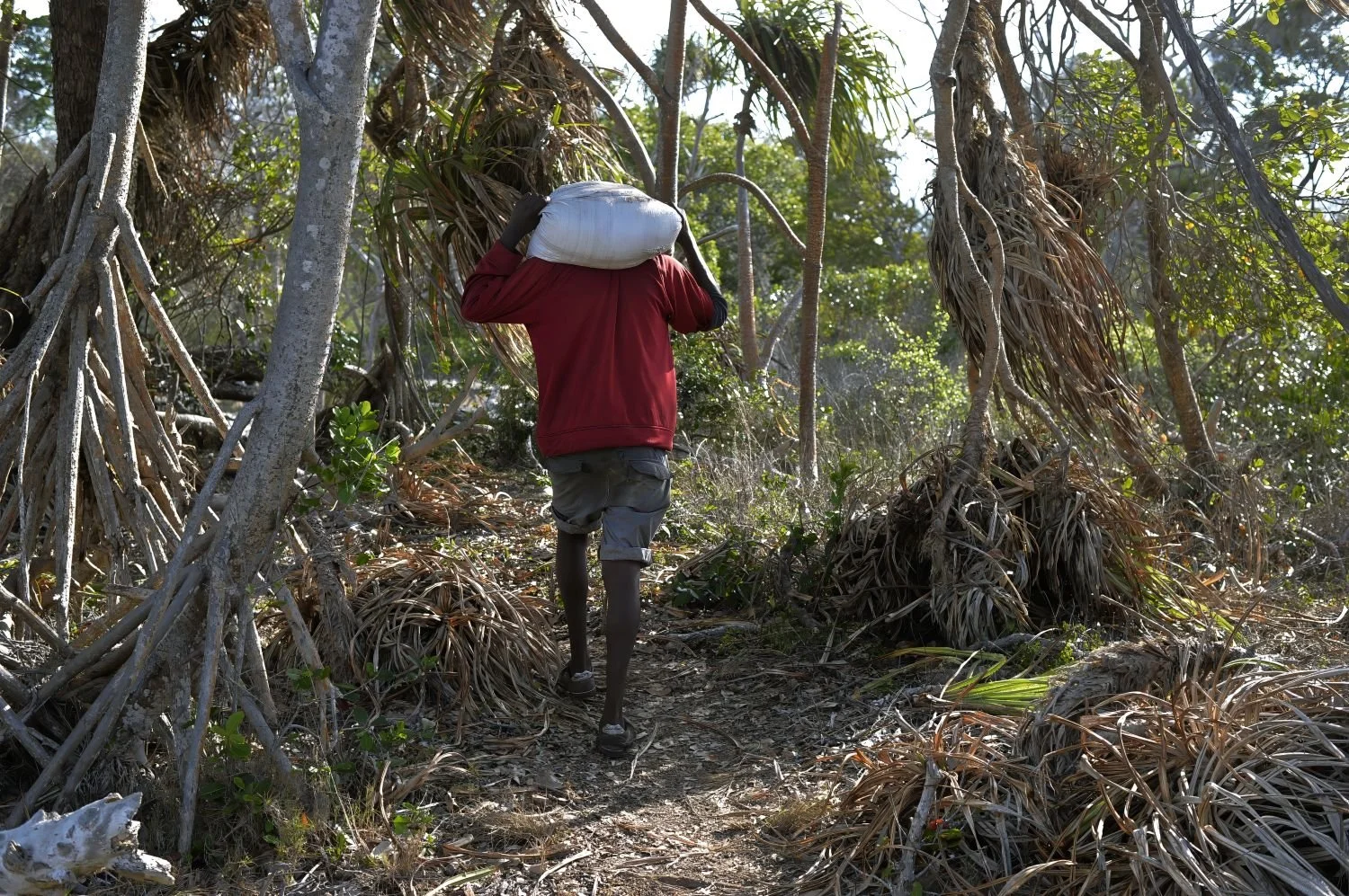Kenia Chale Island - Working in the wood