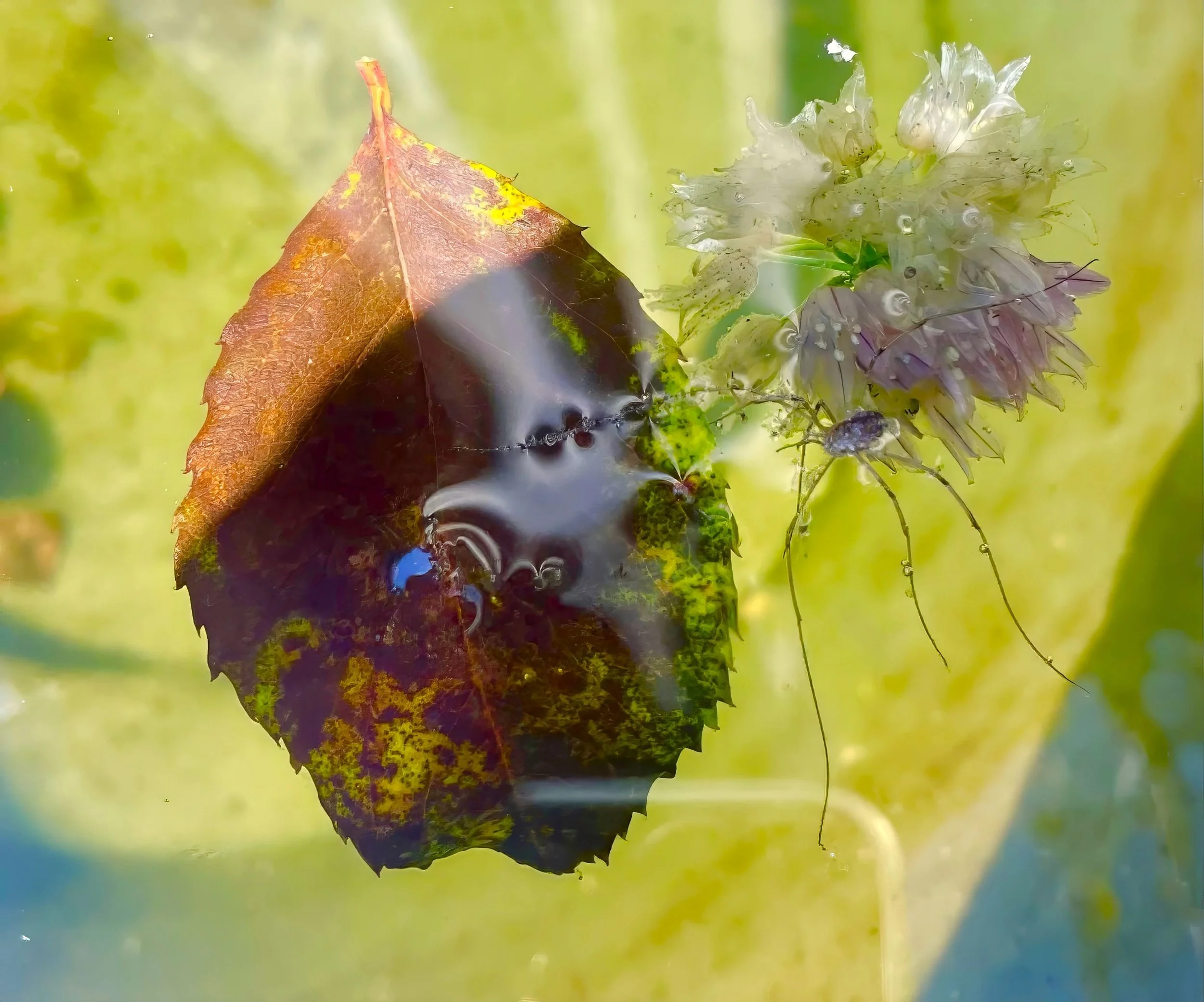 Frozen Leave & Flower
