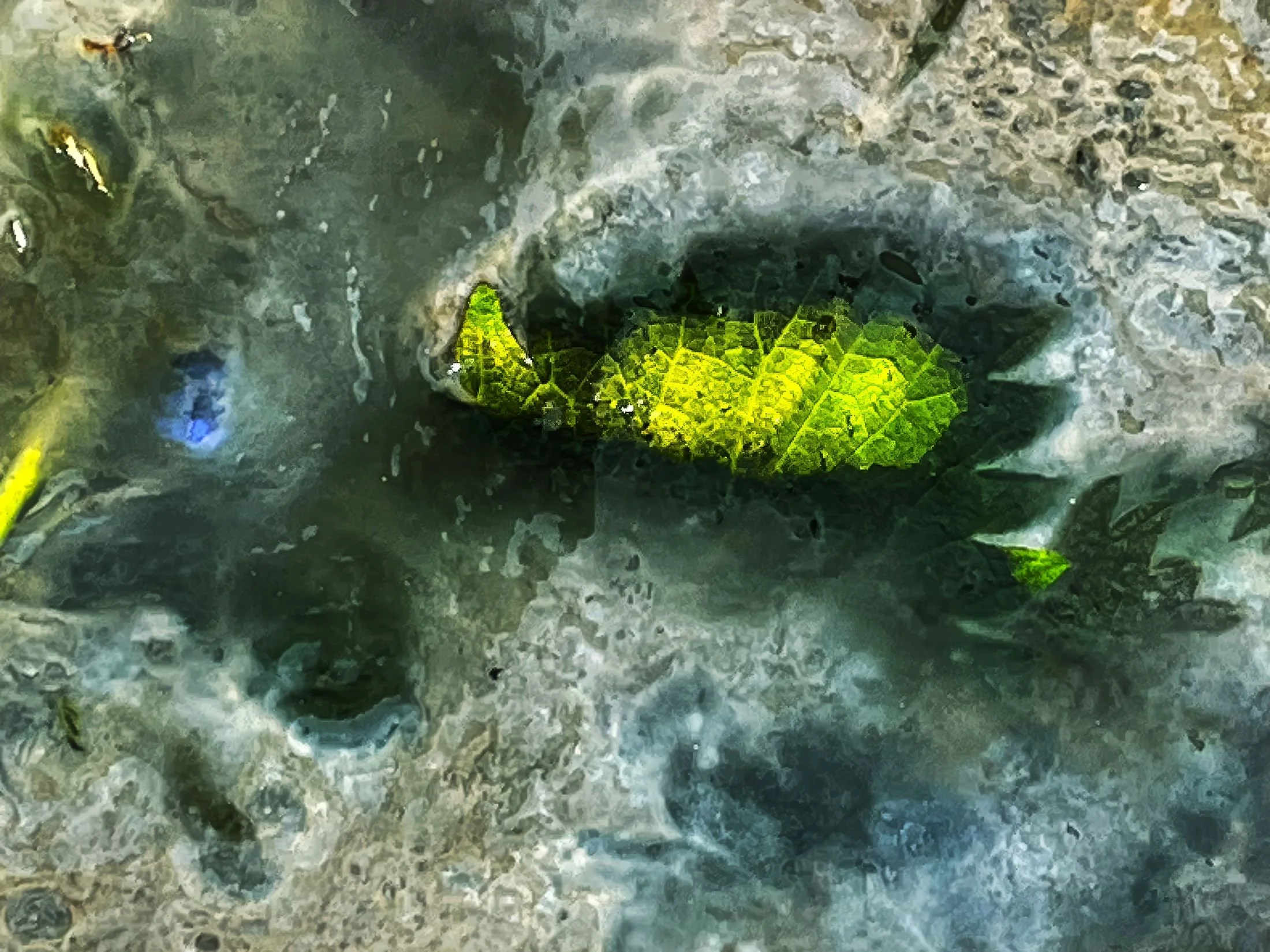 Green Island