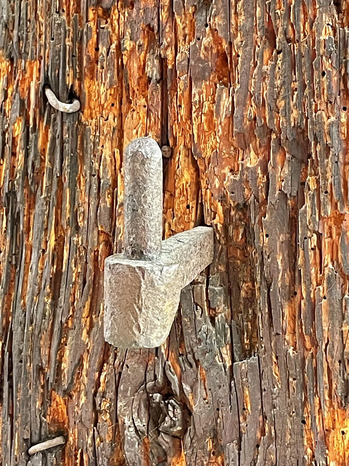 On the hook