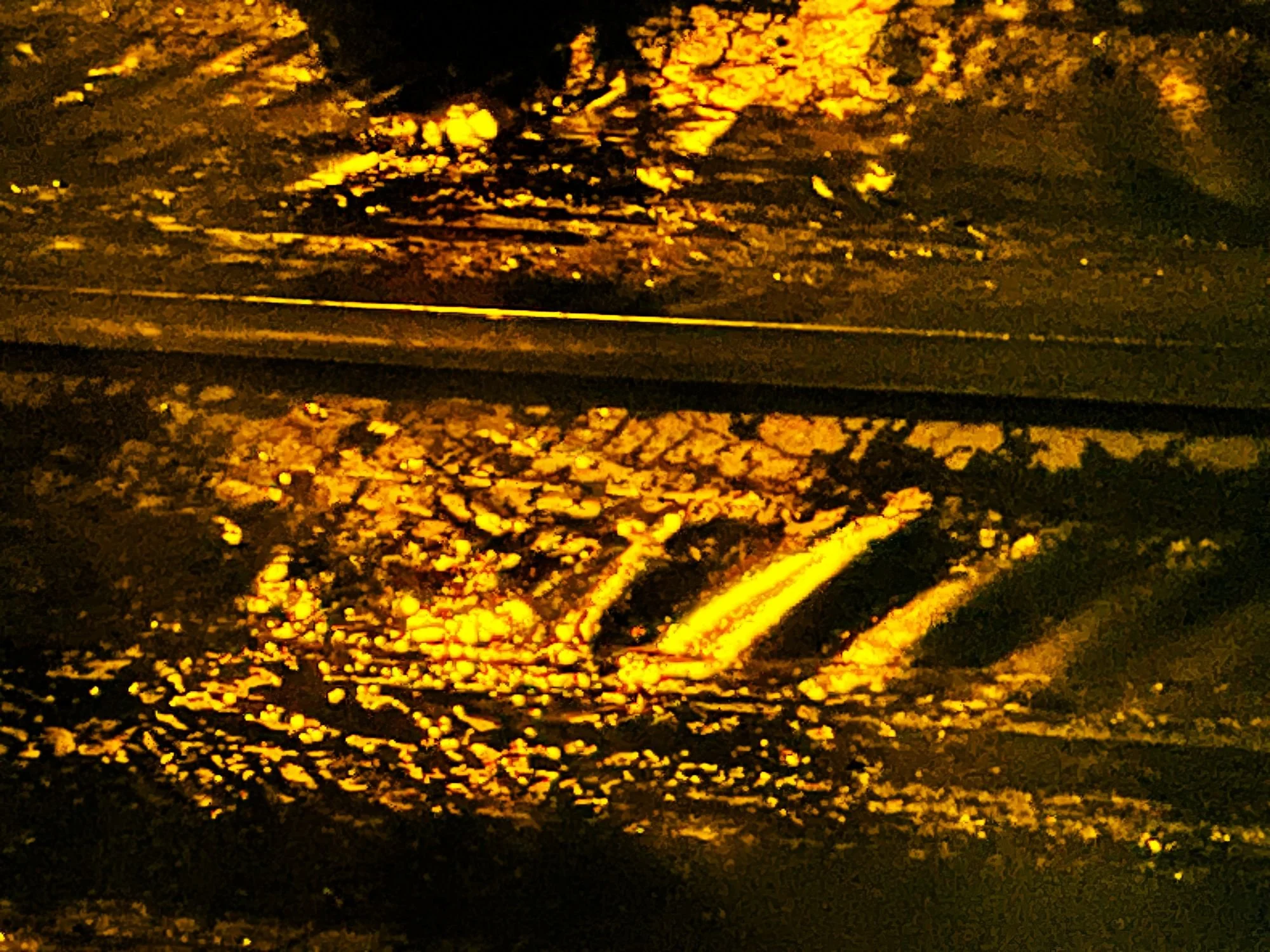 Golden Trails