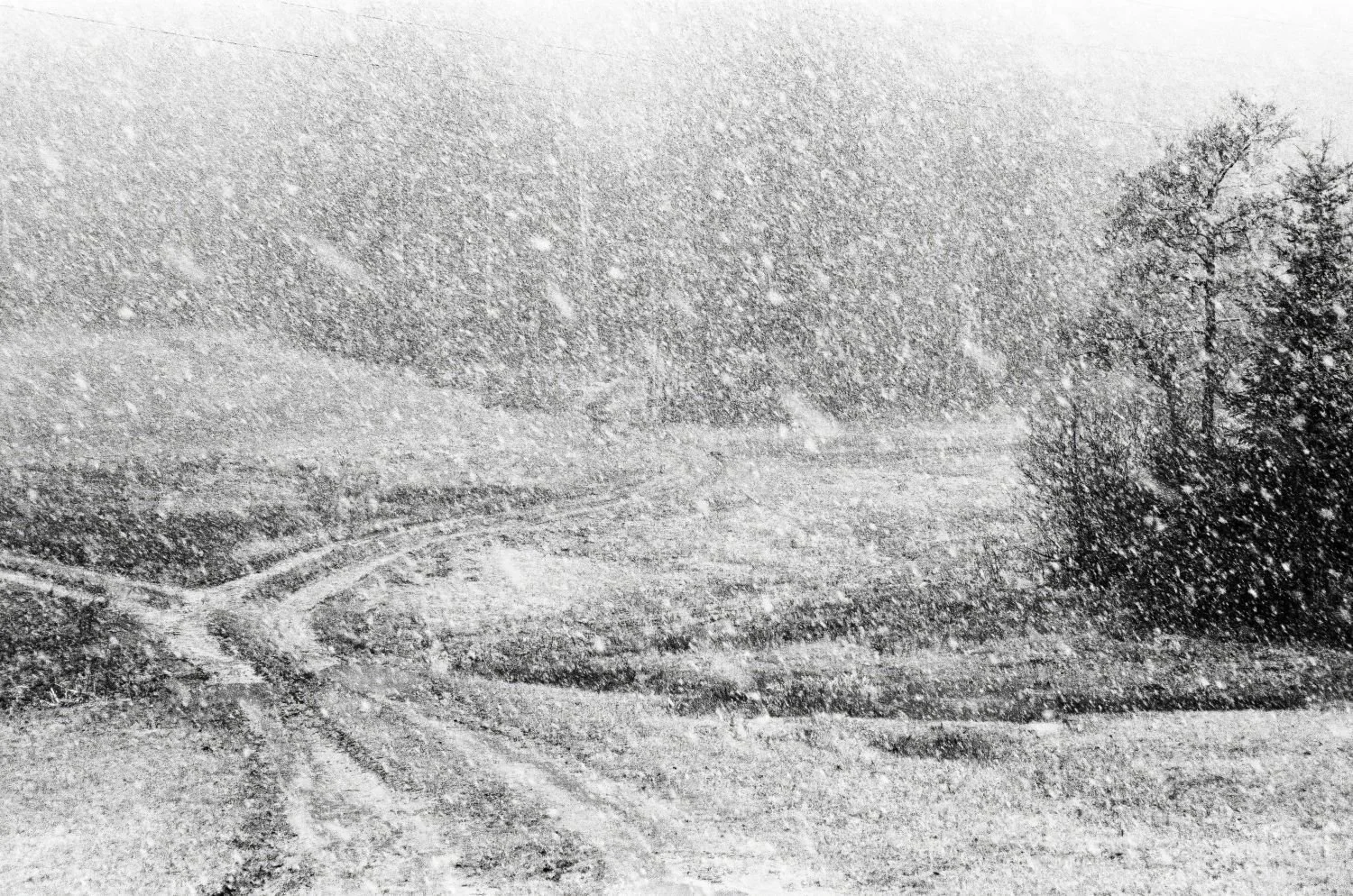 Winter Time on the Ricken Pass