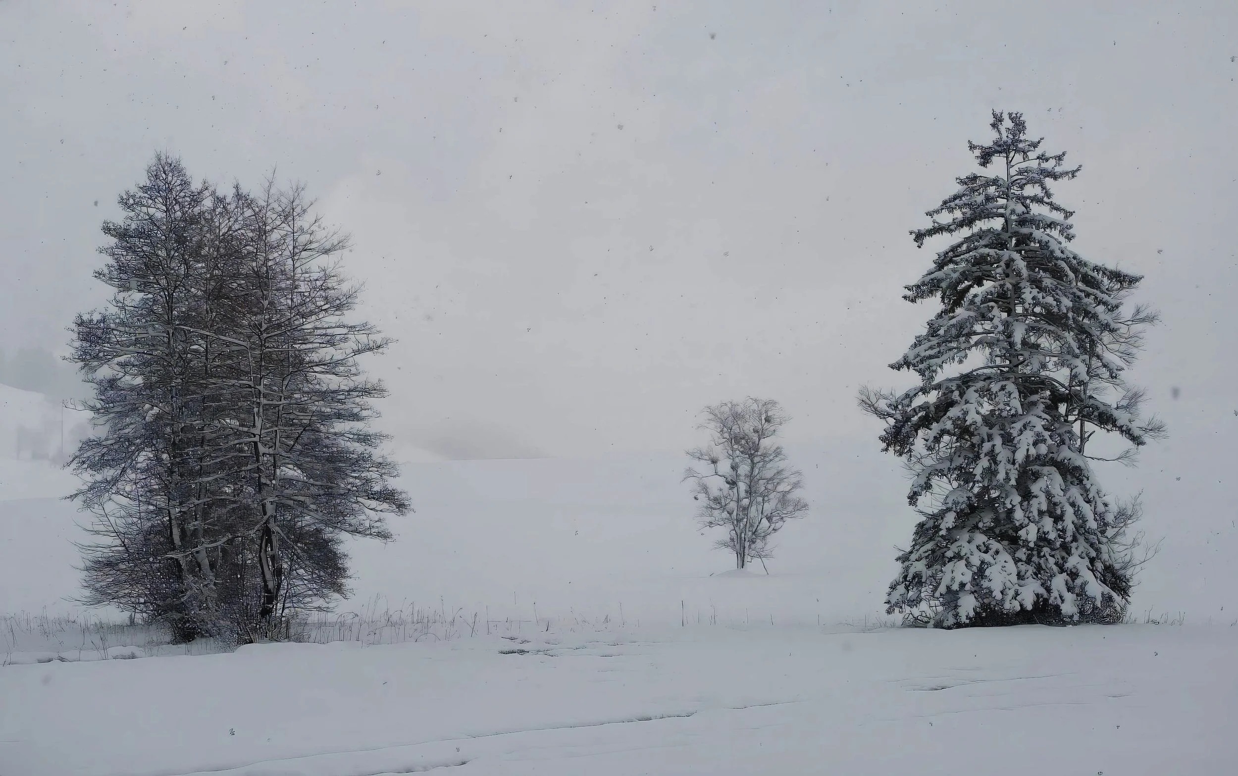 Ricken - Winter Trees
