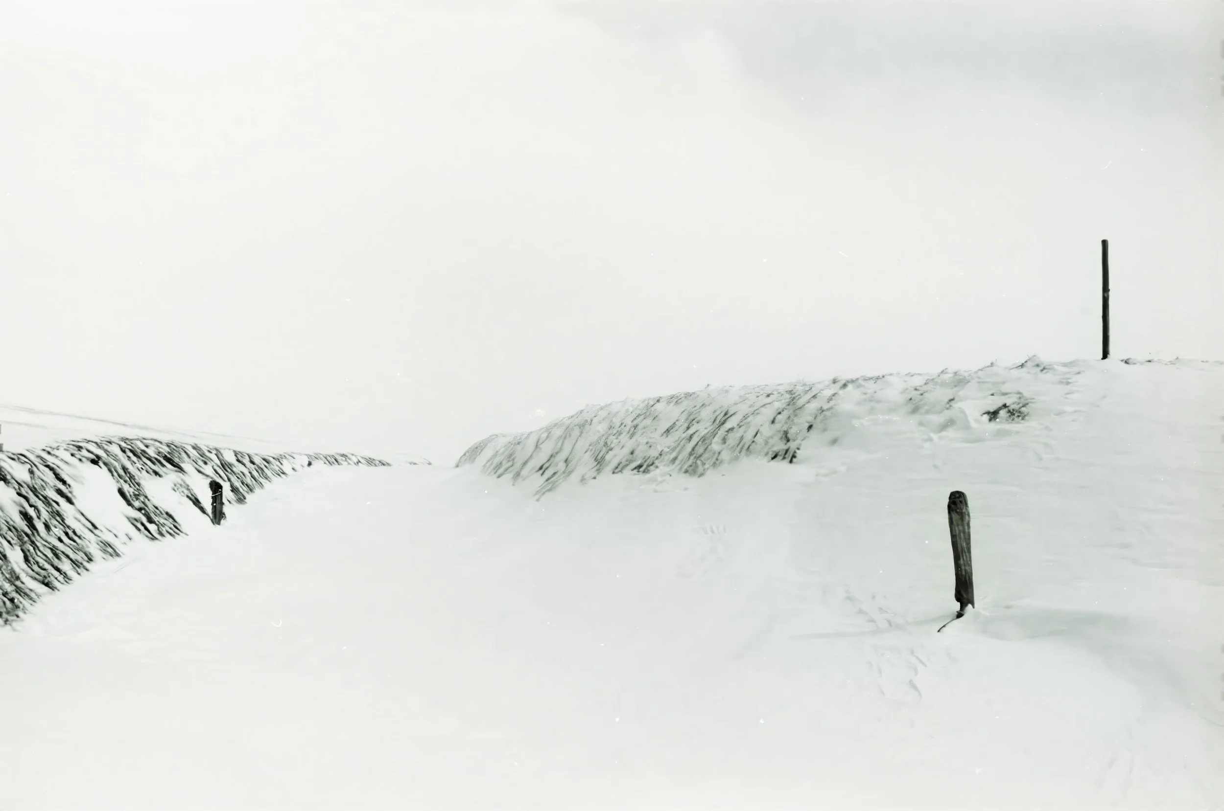Winter Path