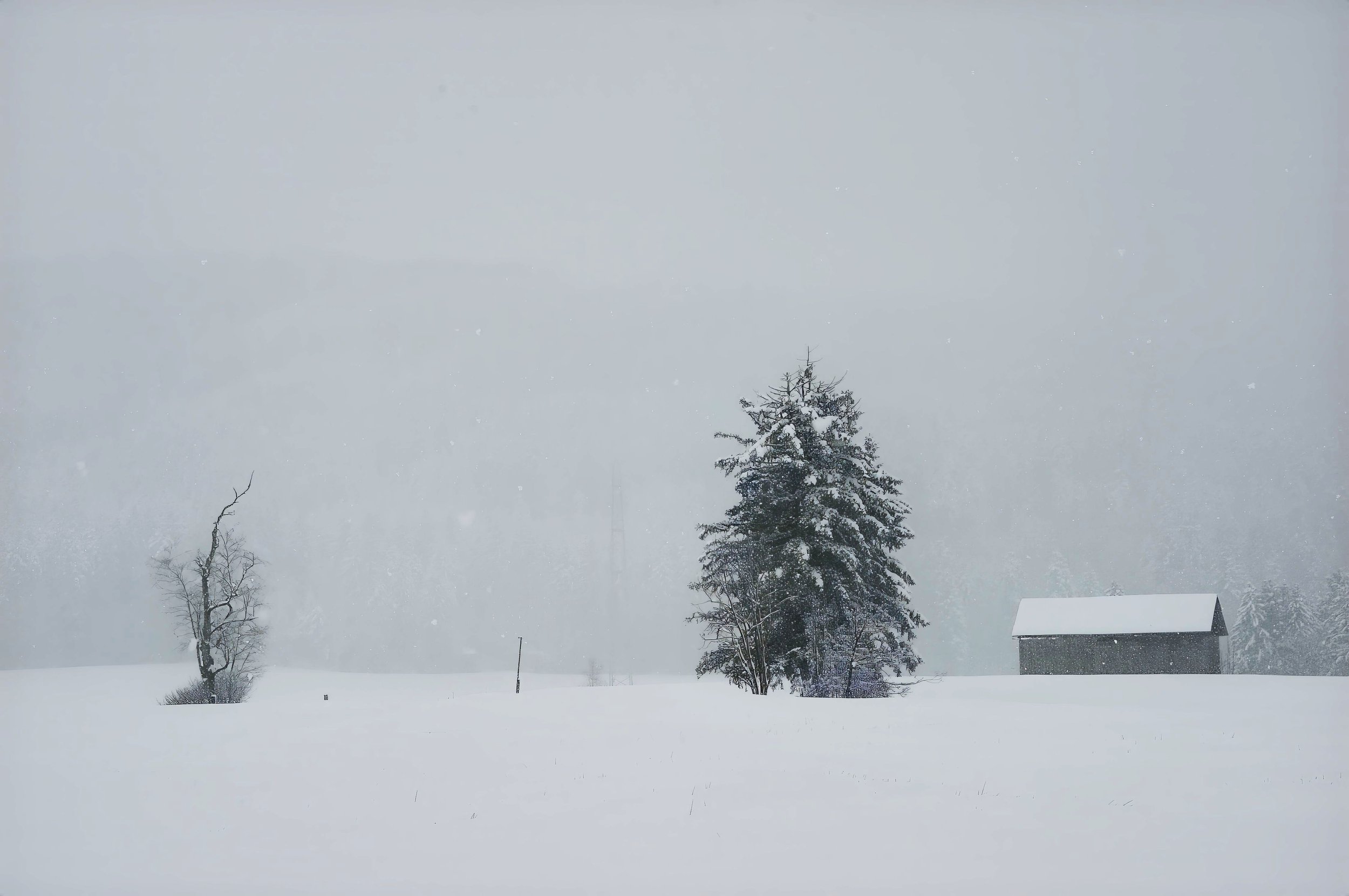 Ricken - Trees & Hut