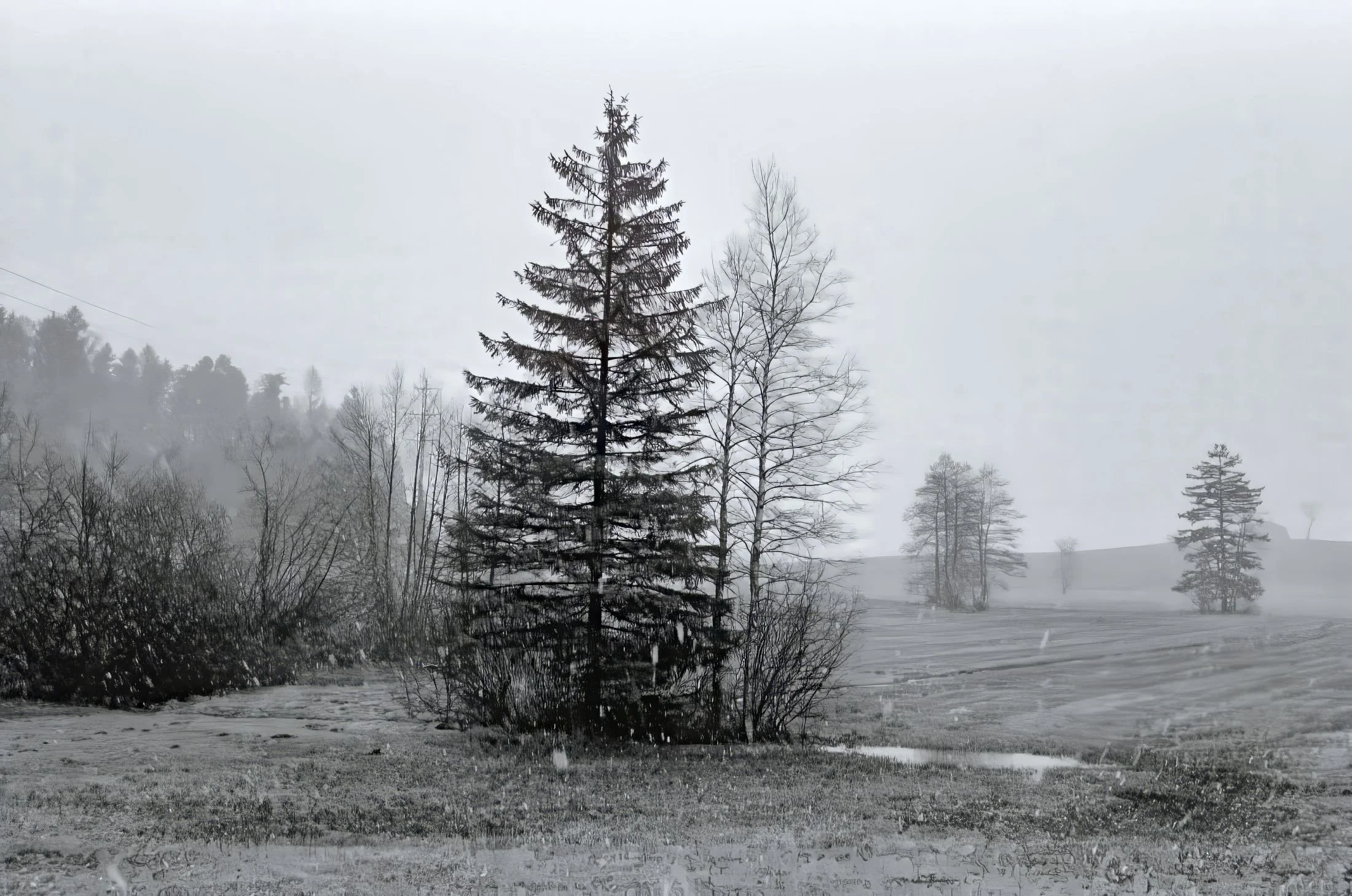 Ricken - Winter Puddle