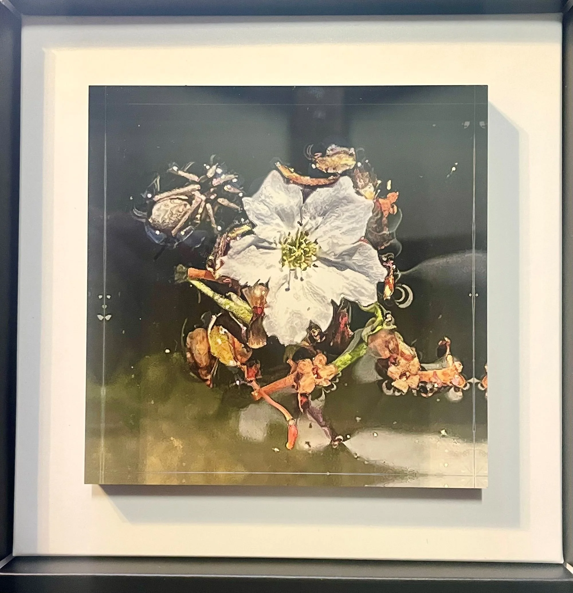 Nashi Blossom and Spider mit Schachtel k.jpg