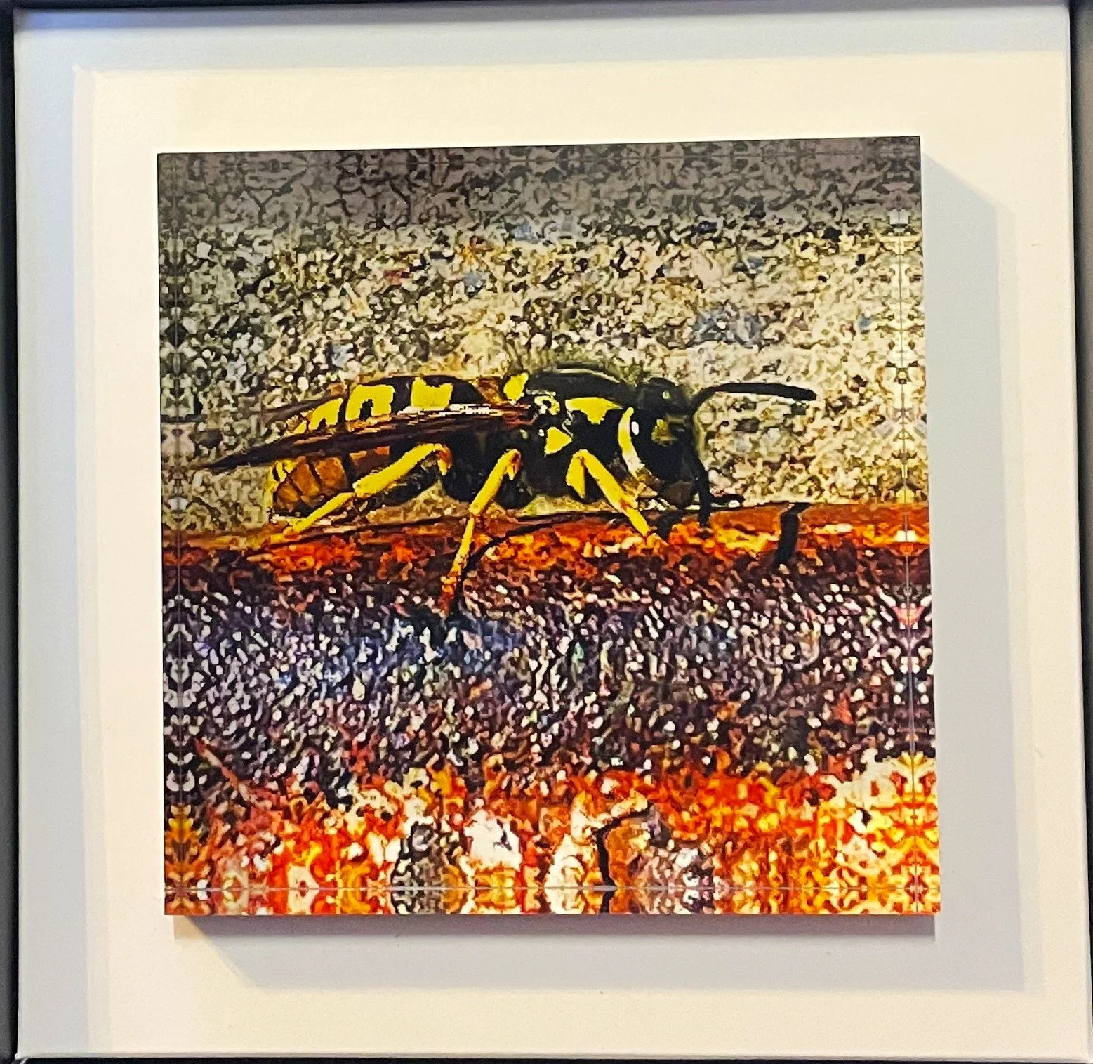 Wasp mit Schachtel k.jpeg