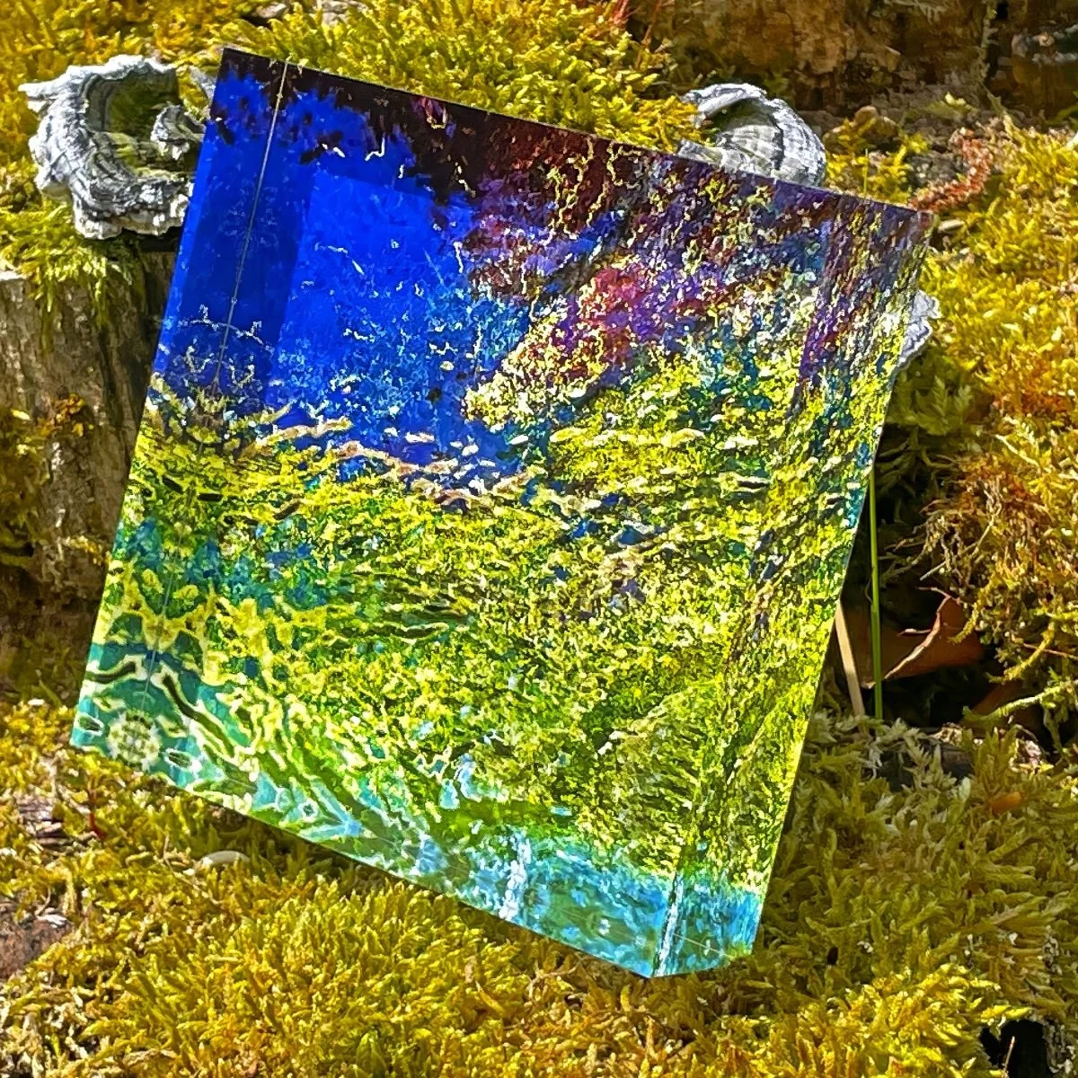 Aquarium Hintergrund k.jpg