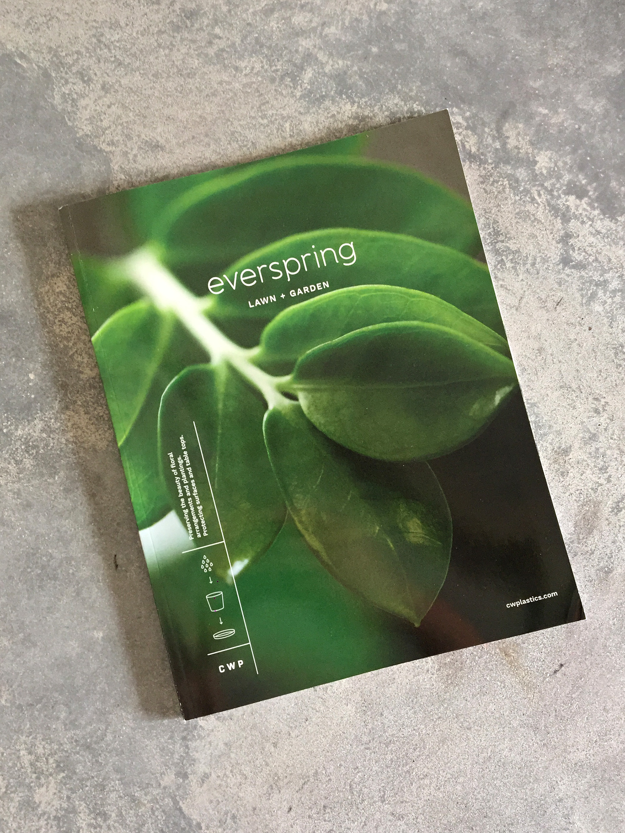 everspring-cover-2.jpg