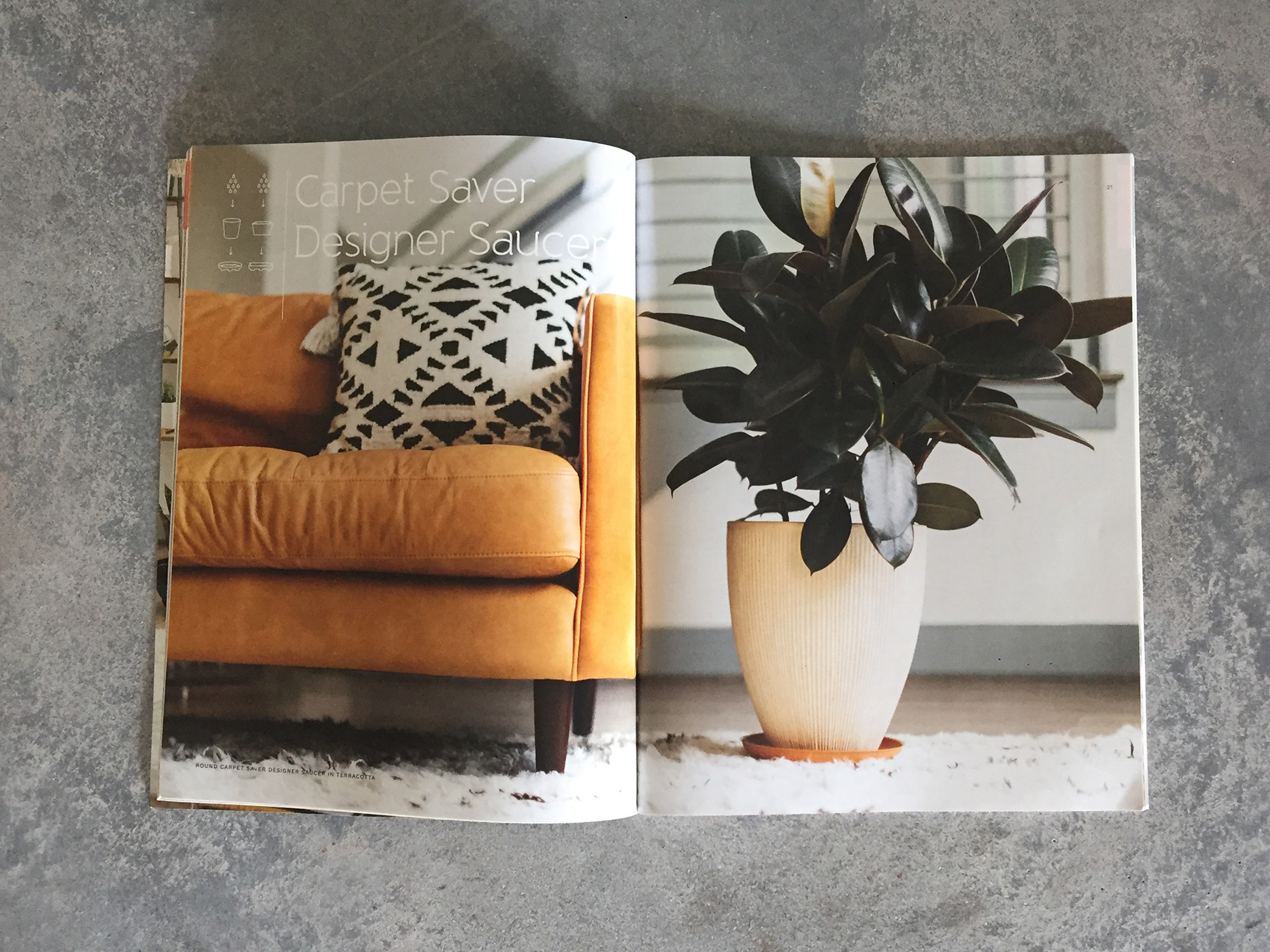 everspring-spread-2.jpg