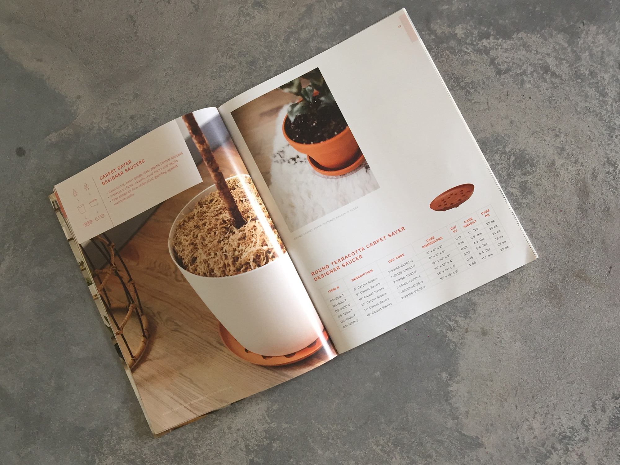 everspring-spread-3.jpg
