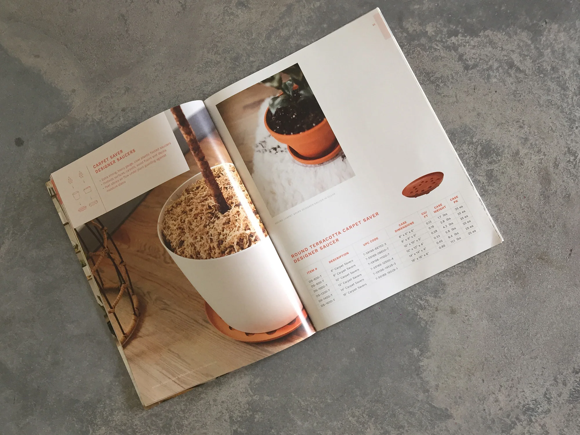 everspring-spread-3.jpg