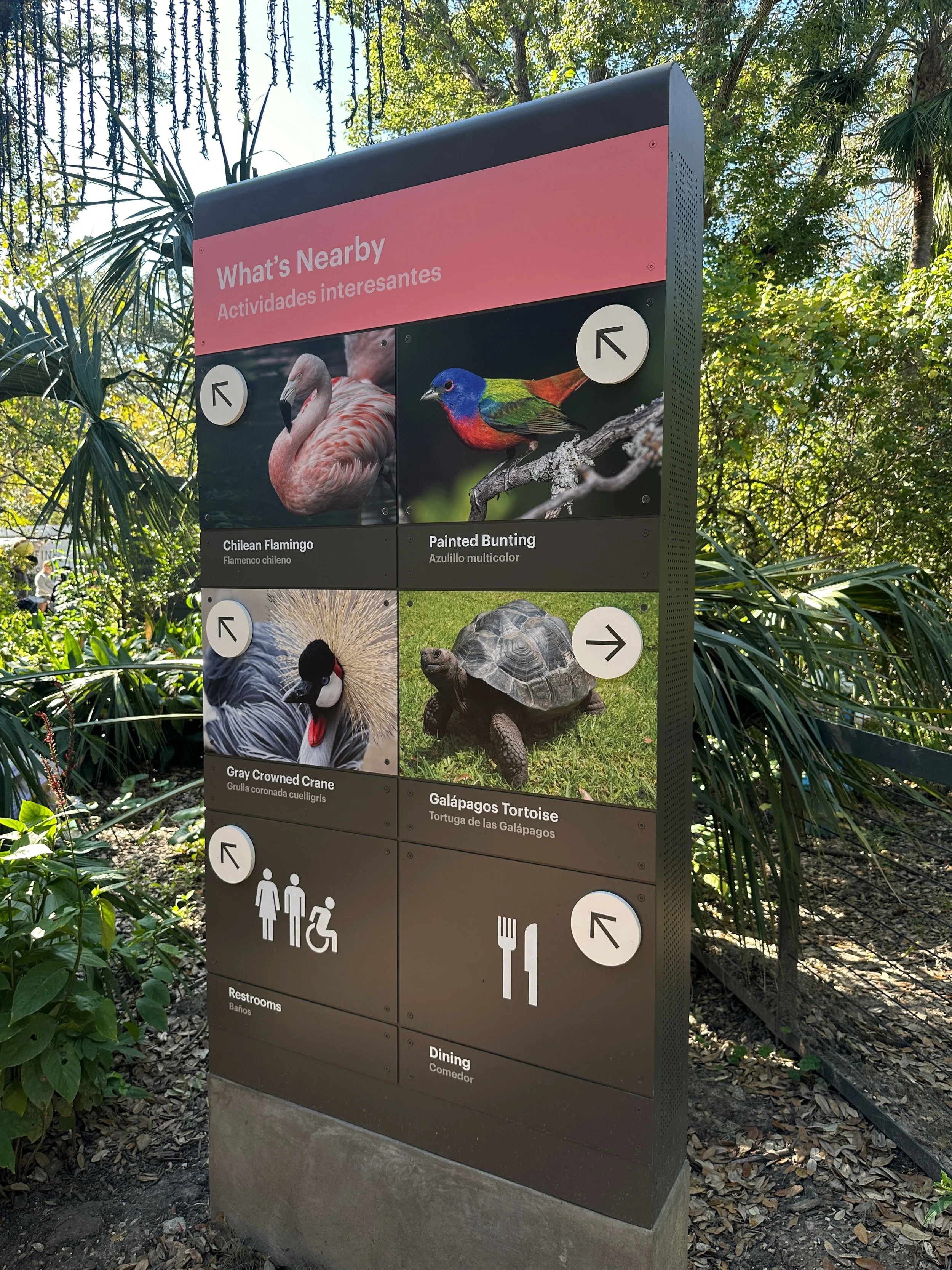 zoo-3.jpg