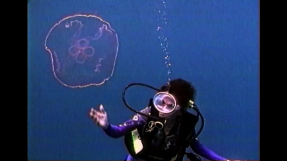jellyfish2.jpg
