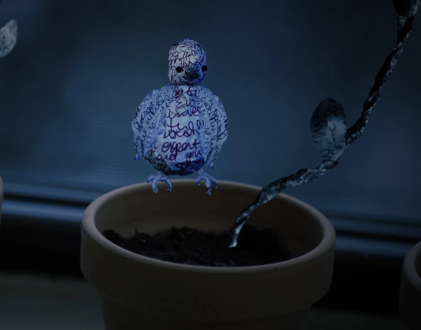 bird-at-night.jpg